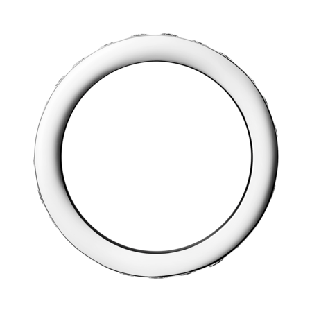 Eternity Ring Amsterdam in Platinum