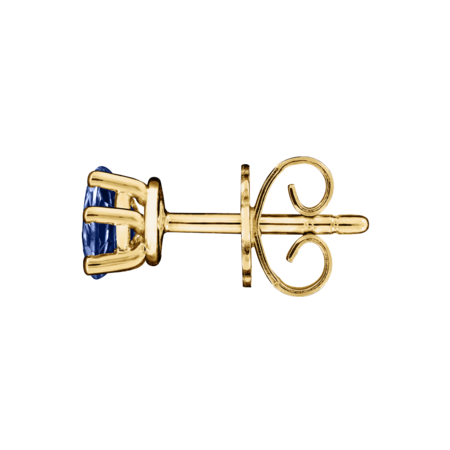 Stud Earrings 5 Prongs Tanzanite blue in Yellow Gold